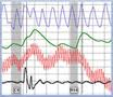 polygraph test in Yuba City